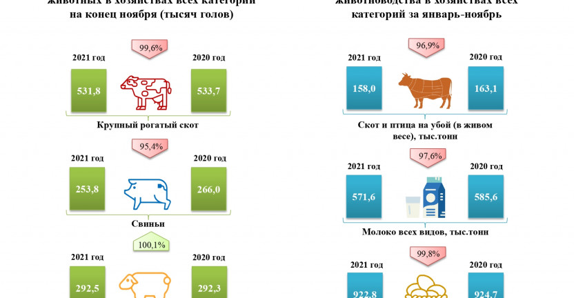 Состояние животноводства в хозяйствах всех категорий за январь-ноябрь